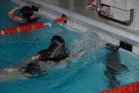 chlausschwimmen-2012-53c903.jpg